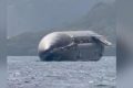 ‘Incredible’: SpaceX rocket spotted off Christmas Island coast