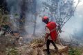Ecuador intelligence chief and five Americans killed in Kenya helicopter crash