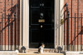 Fake 10 Downing Street listing exposes ‘unfit’ Booking.com, says consumer group