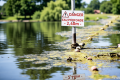 Drowning deaths soar in France as Europe buckles in peak of heatwave