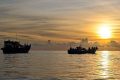 More than 500 Rohingya vanished at sea – what happened?