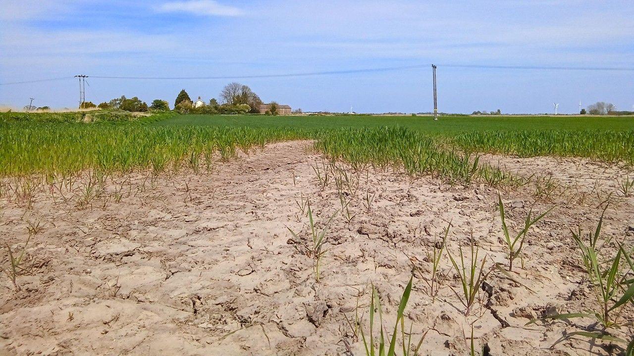 Is UK facing drought for second summer in a row?