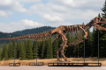 Tyrannosaurus rex most expensive dinosaur ever sold