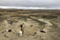 T. rex could become most expensive fossil ever – but it’s a ​problem for scientists