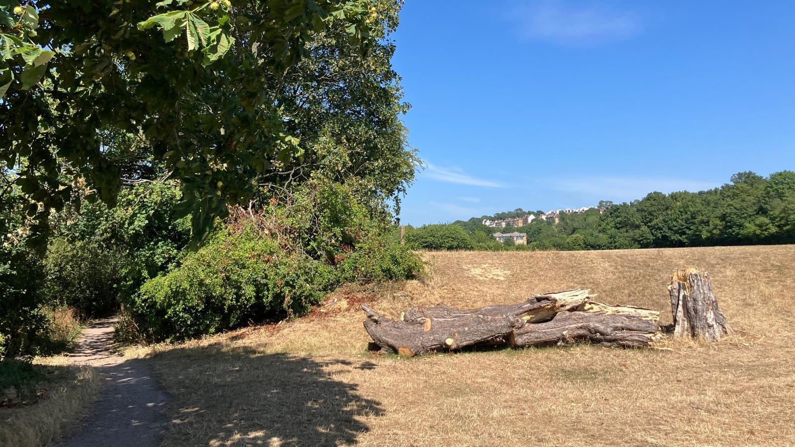 Two charged as body found in suitcase in woods