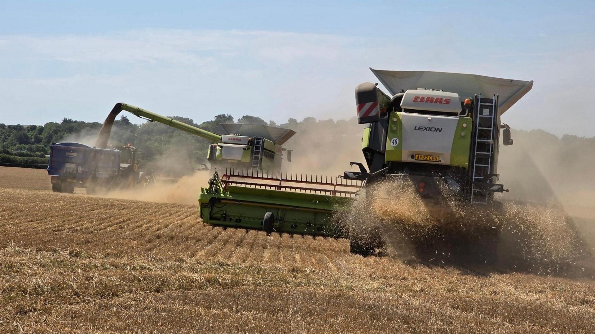 No significant rain forecast for at least a week as UK heatwave continues