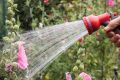 Hosepipe ban in force for millions of households – is your area affected?