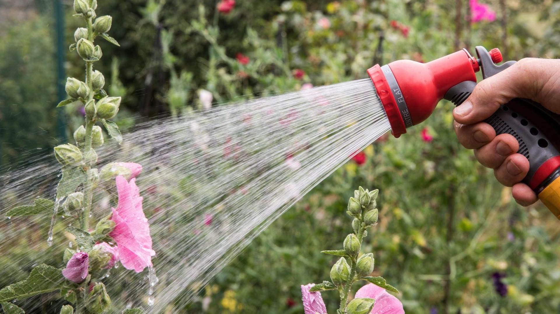 Hosepipe ban in force for millions of households – is your area affected?