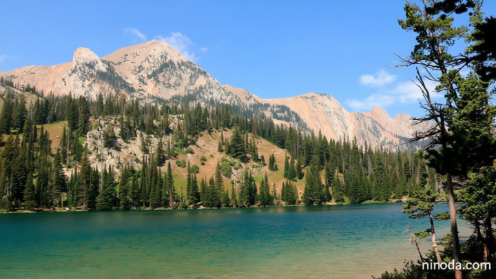 Private jets flock to Montana – but locals can’t afford the trailer park