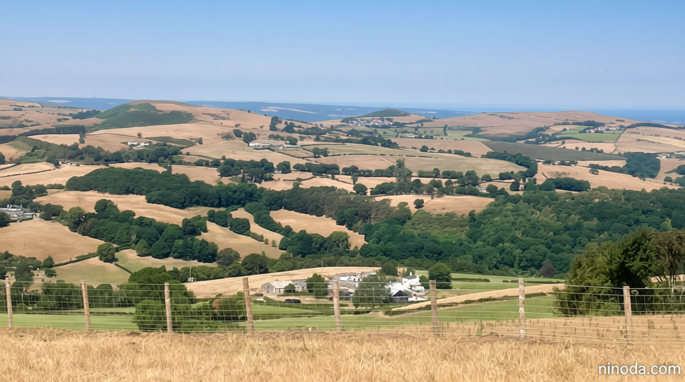 Wildfires and record dry conditions trigger drought in parts of Wales