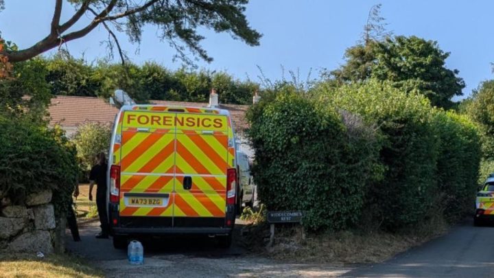 Ann Widdecombe murder probe: What we know so far