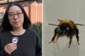 Do bees have feelings? Study reveals the insects’ ‘inner life’