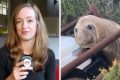 How a viral seal called Neil caused mayhem in Australia