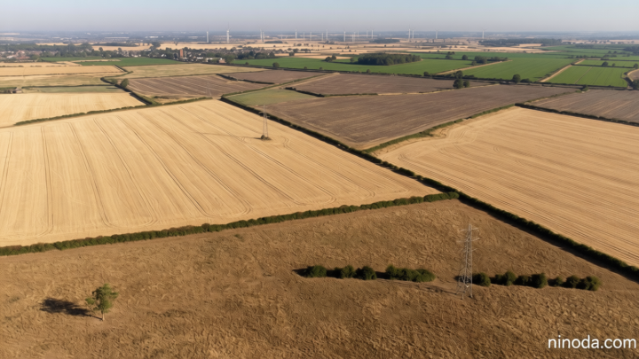 Prolonged drought could cause shortage of some foods, farmers’ union head says