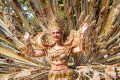 Notting Hill Carnival revels in 60th anniversary celebrations