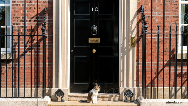 Fake 10 Downing Street listing exposes ‘unfit’ Booking.com, says consumer group